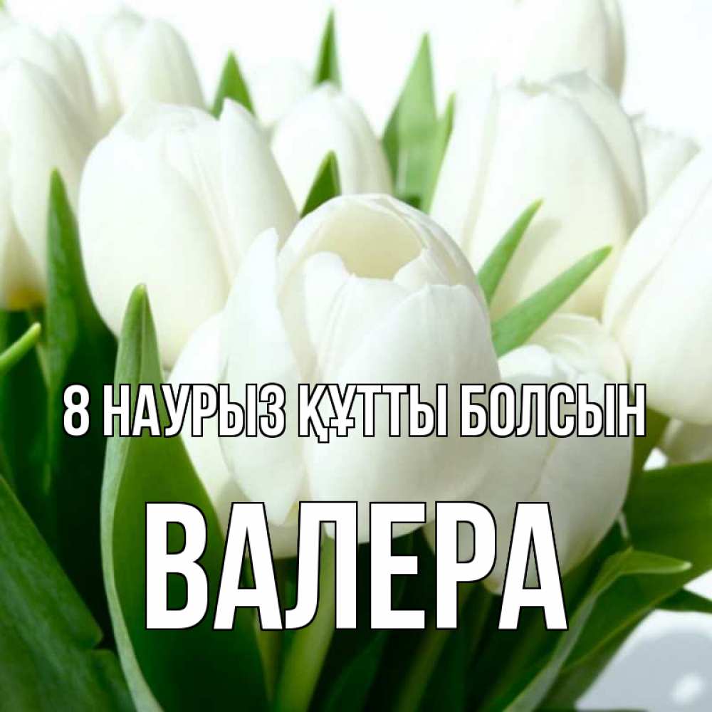 Күн сайын ашық хат с именем, Валера 8 наурыз құтты болсын цветы Онлайн тегін жүктеп алу тілектері бар керемет карта 