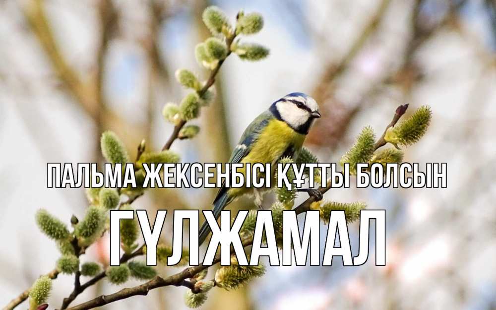 Күн сайын ашық хат с именем, ГҮЛЖАМАЛ Пальма жексенбісі құтты болсын верба Онлайн тегін жүктеп алу тілектері бар керемет карта 