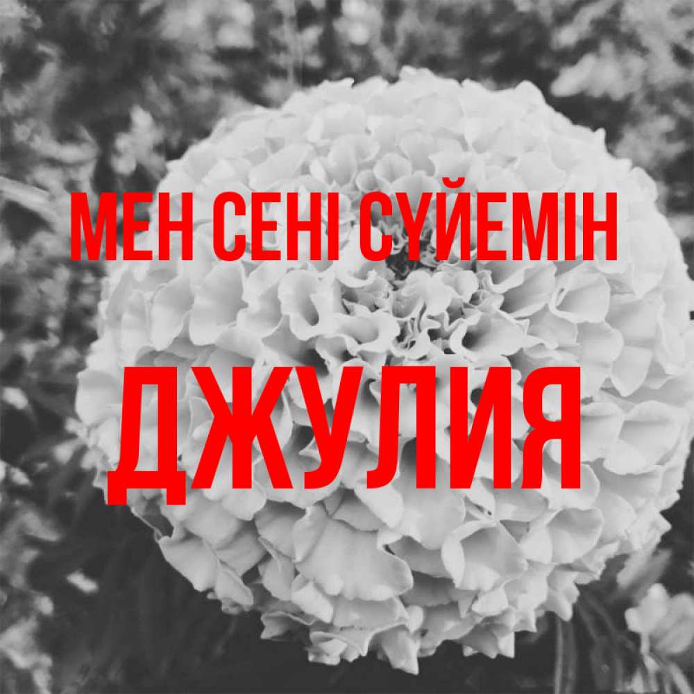 Күн сайын ашық хат с именем, Джулия Мен сені сүйемін подпись Онлайн тегін жүктеп алу тілектері бар керемет карта 