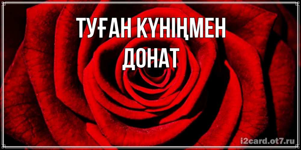 Күн сайын ашық хат с именем, Донат Туған күніңмен алая роза Онлайн тегін жүктеп алу тілектері бар керемет карта 