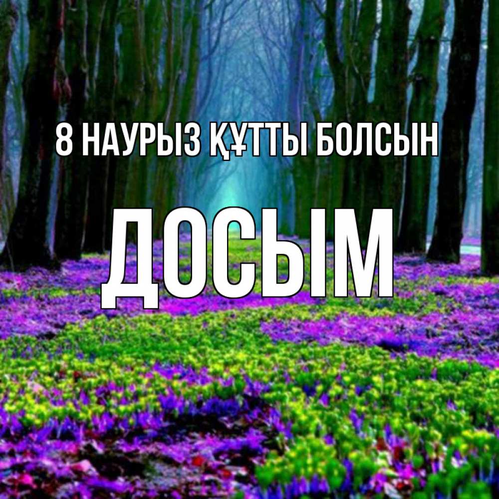 Күн сайын ашық хат с именем, Досым 8 наурыз құтты болсын фиолетовые цветы в лесу 1 Онлайн тегін жүктеп алу тілектері бар керемет карта 