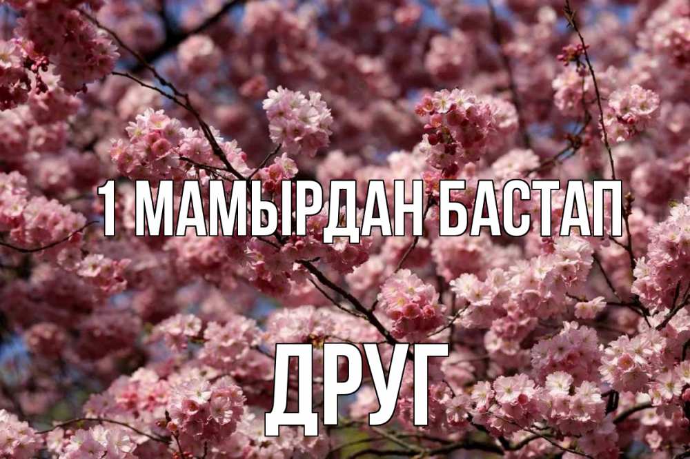 Күн сайын ашық хат с именем, Друг 1 мамырдан бастап С 1 мая Онлайн тегін жүктеп алу тілектері бар керемет карта 