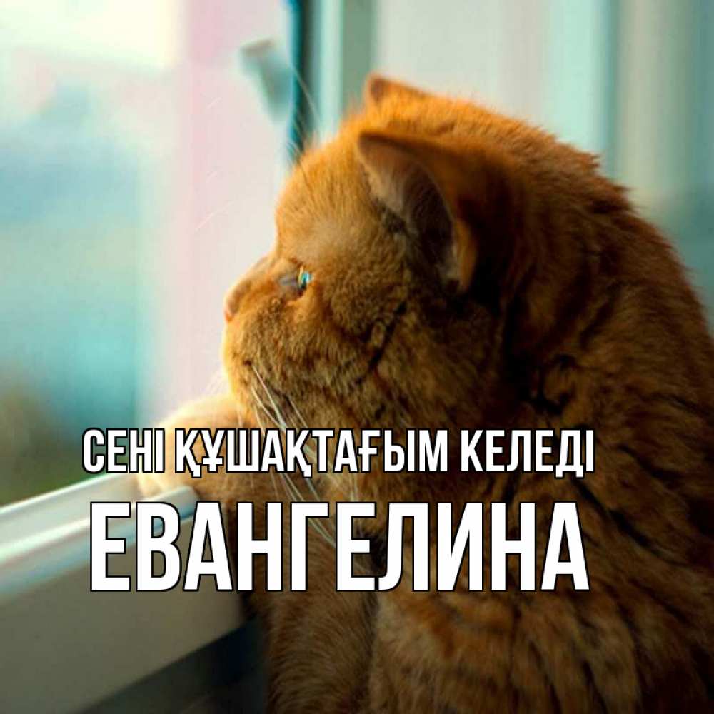 Күн сайын ашық хат с именем, Евангелина сені құшақтағым келеді большой огромный рыжий котяра Онлайн тегін жүктеп алу тілектері бар керемет карта 