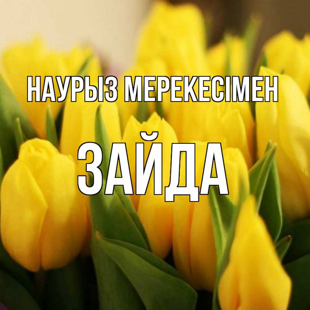 Күн сайын ашық хат с именем, ЗАЙДА Наурыз мерекесімен цветы Онлайн тегін жүктеп алу тілектері бар керемет карта 