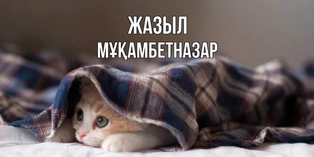 Күн сайын ашық хат с именем, Мұқамбетназар Жазыл не болейте с котиком Онлайн тегін жүктеп алу тілектері бар керемет карта 