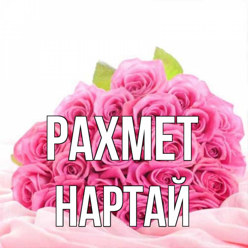 Күн сайын ашық хат с именем, Нартай рахмет розовые розы с подписью Онлайн тегін жүктеп алу тілектері бар керемет карта 