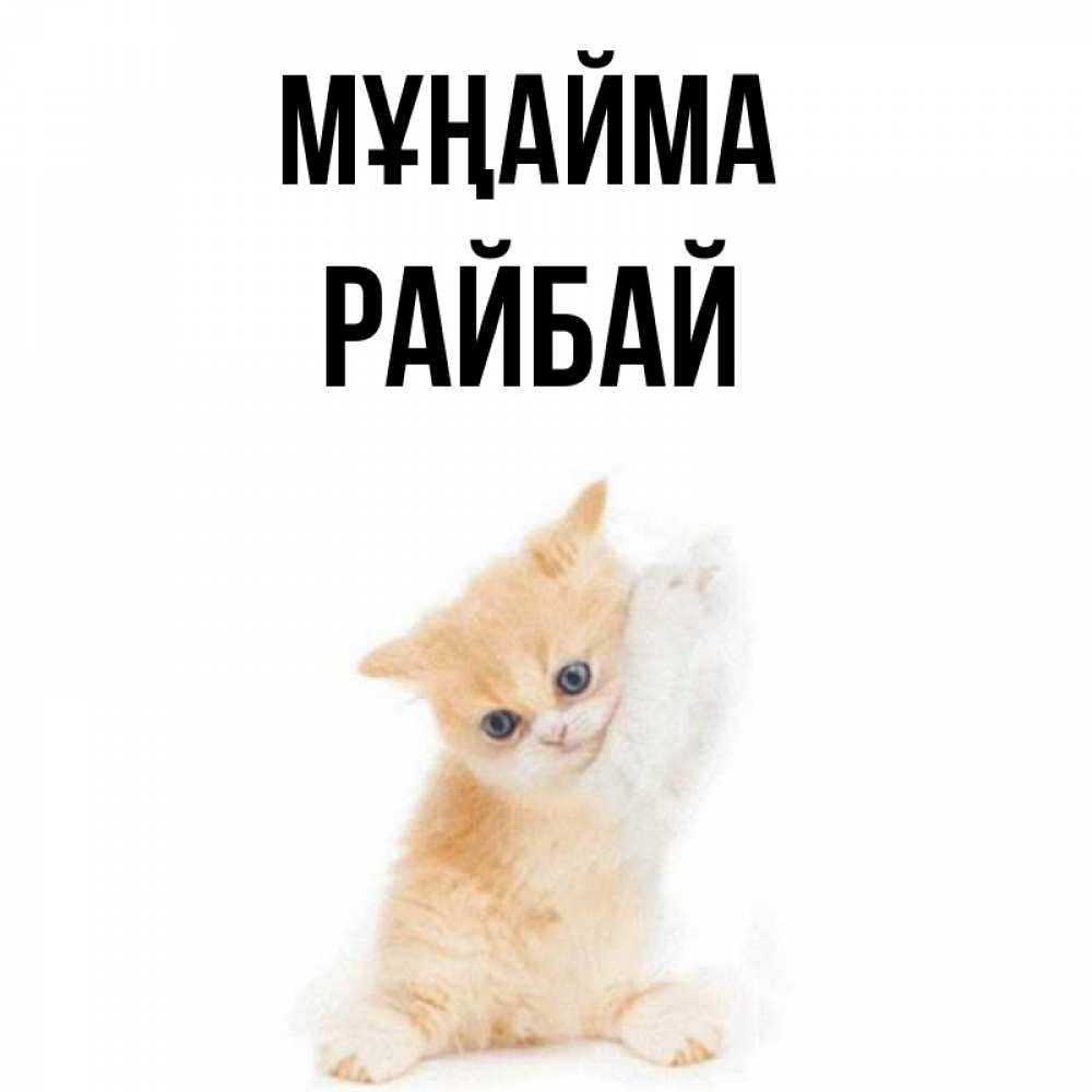 Күн сайын ашық хат с именем, РАЙБАЙ Мұңайма просящий кот Онлайн тегін жүктеп алу тілектері бар керемет карта 