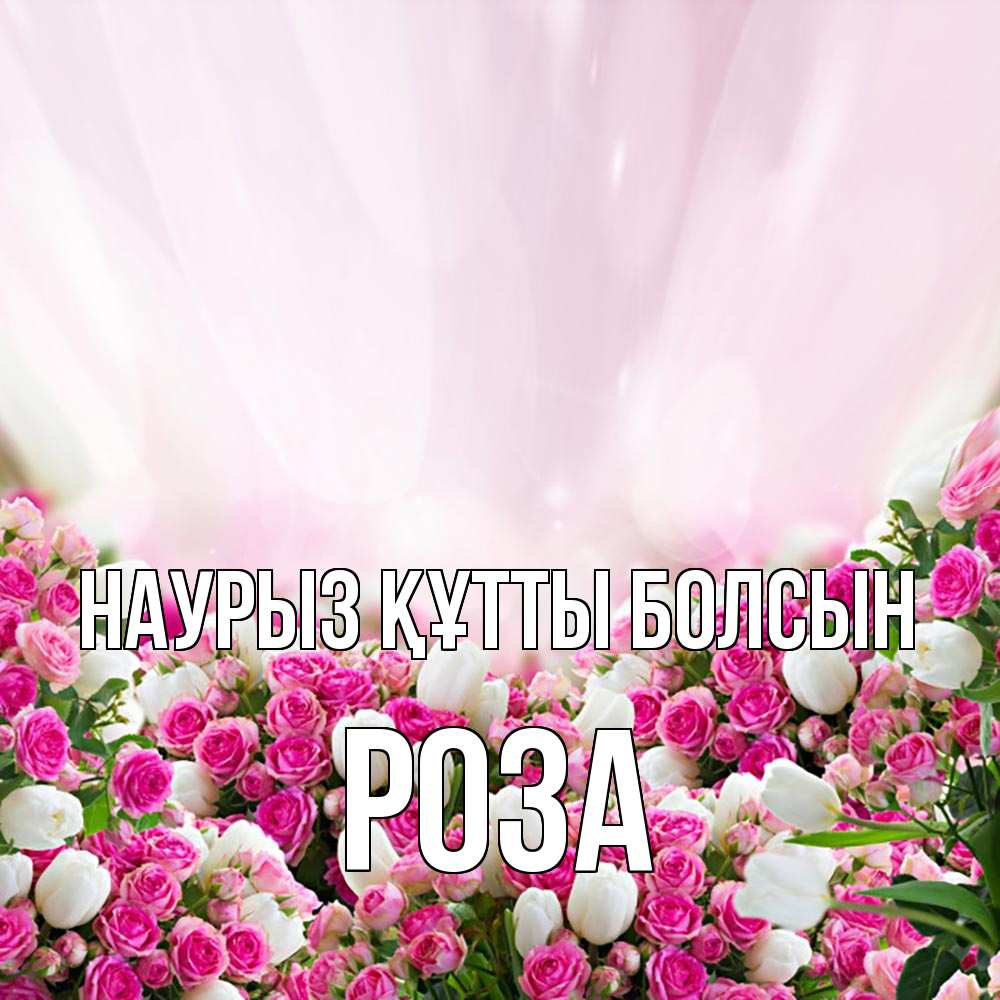Күн сайын ашық хат с именем, РОЗА Наурыз құтты болсын под снегом Онлайн тегін жүктеп алу тілектері бар керемет карта 