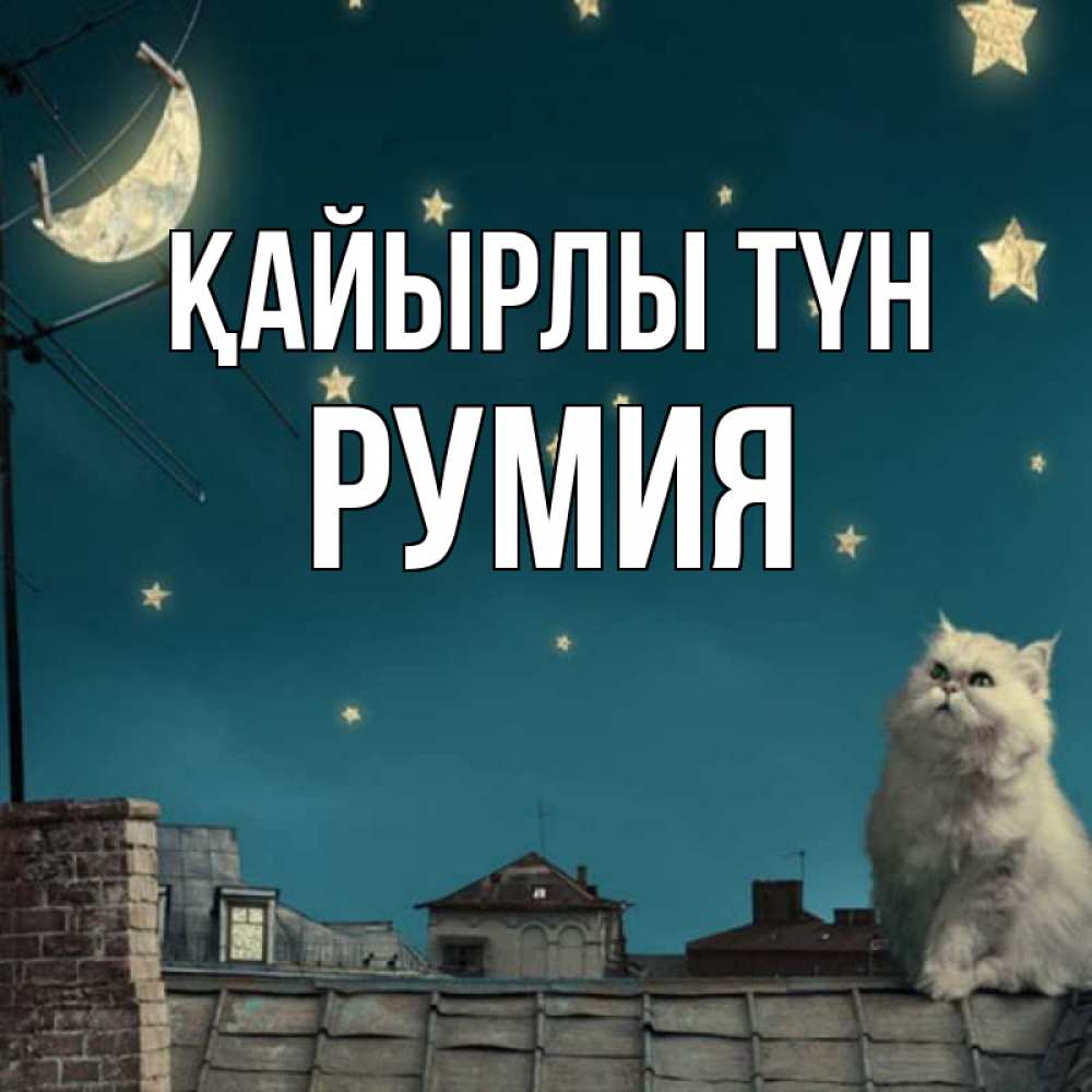 Күн сайын ашық хат с именем, Румия Қайырлы түн белый кот сидит на крыше Онлайн тегін жүктеп алу тілектері бар керемет карта 