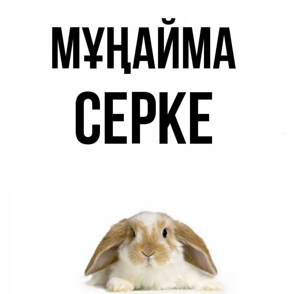 Күн сайын ашық хат с именем, СЕРКЕ Мұңайма коричнево белый заяц с большими ушками Онлайн тегін жүктеп алу тілектері бар керемет карта 