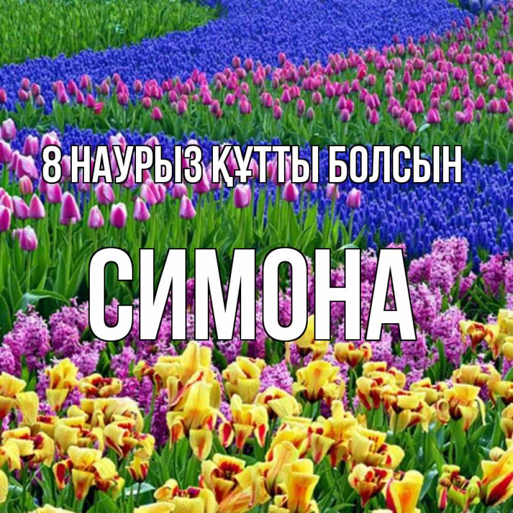 Күн сайын ашық хат с именем, Симона 8 наурыз құтты болсын цветы Онлайн тегін жүктеп алу тілектері бар керемет карта 