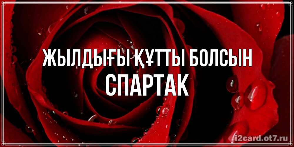 Күн сайын ашық хат с именем, Спартак Жылдығы құтты болсын крупная бордовая роза Онлайн тегін жүктеп алу тілектері бар керемет карта 