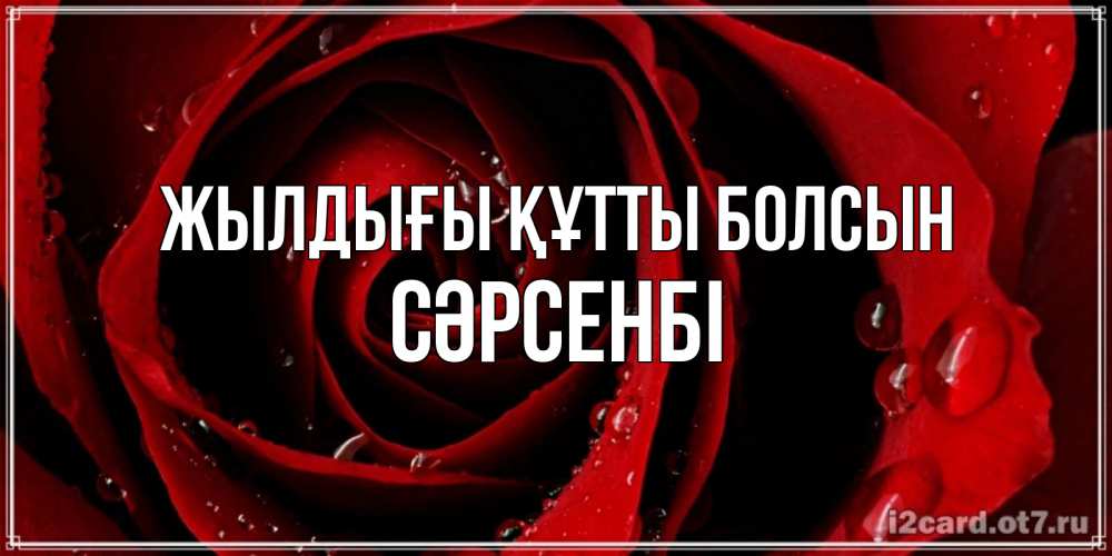 Күн сайын ашық хат с именем, СӘРСЕНБІ Жылдығы құтты болсын крупная бордовая роза Онлайн тегін жүктеп алу тілектері бар керемет карта 