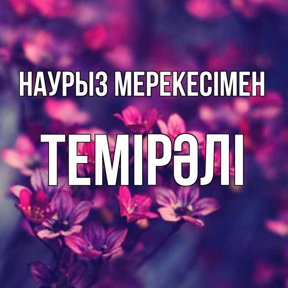 Күн сайын ашық хат с именем, ТЕМІРӘЛІ Наурыз мерекесімен небольшие цветы 1 Онлайн тегін жүктеп алу тілектері бар керемет карта 