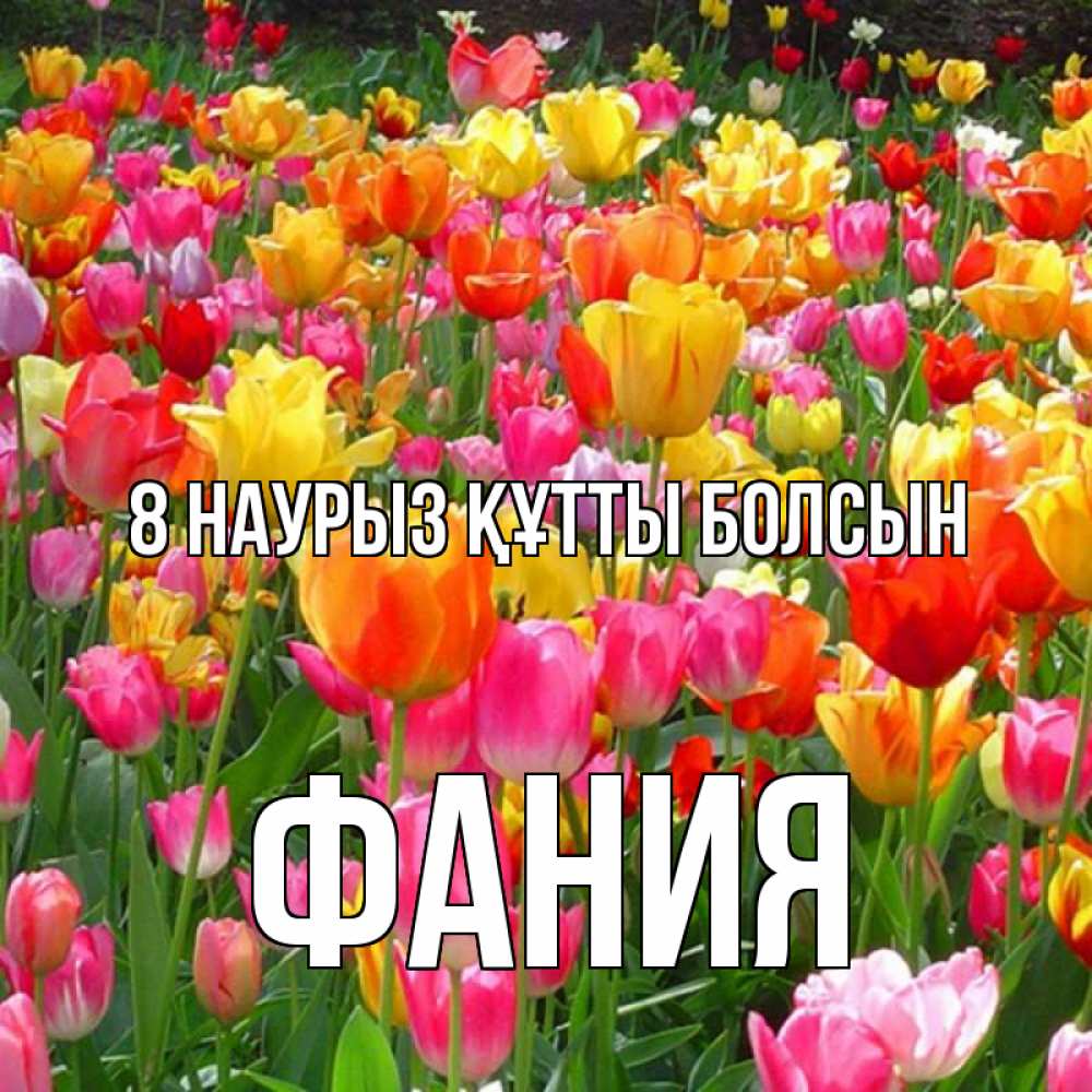 Күн сайын ашық хат с именем, Фания 8 наурыз құтты болсын на международный женский день Онлайн тегін жүктеп алу тілектері бар керемет карта 