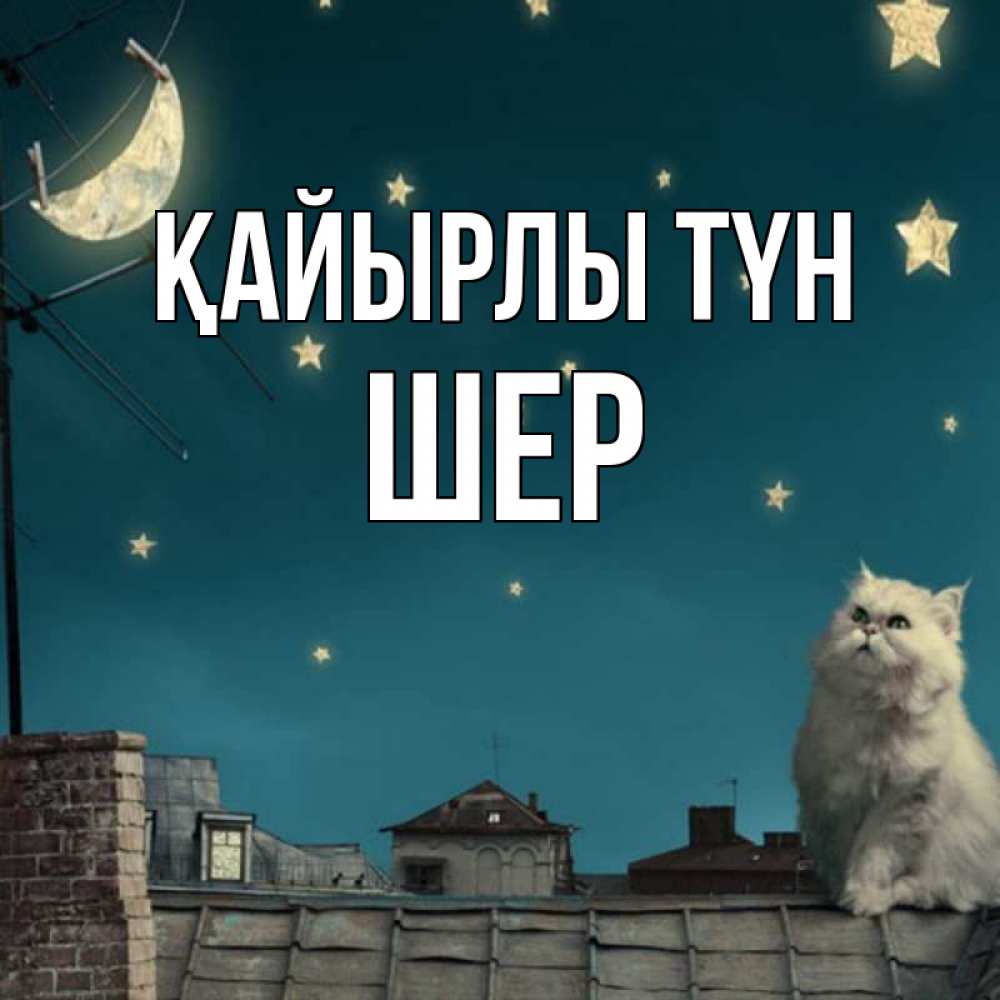 Күн сайын ашық хат с именем, ШЕР Қайырлы түн белый кот сидит на крыше Онлайн тегін жүктеп алу тілектері бар керемет карта 