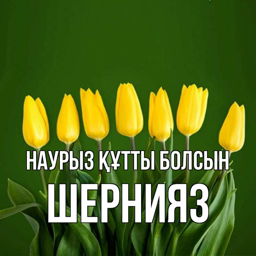 Күн сайын ашық хат с именем, ШЕРНИЯЗ Наурыз құтты болсын желтого цвета 3 Онлайн тегін жүктеп алу тілектері бар керемет карта 