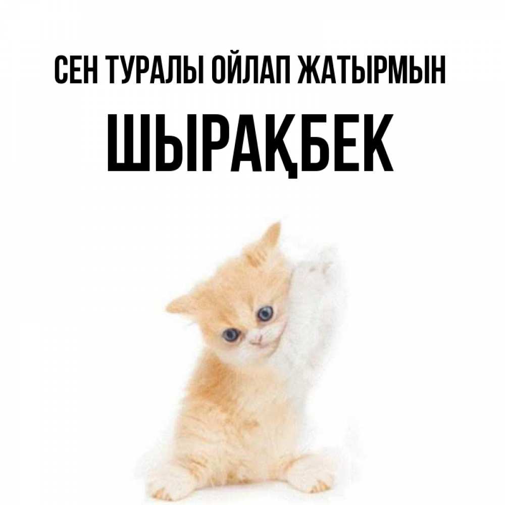 Күн сайын ашық хат с именем, ШЫРАҚБЕК Сен туралы ойлап жатырмын зверушки и милота Онлайн тегін жүктеп алу тілектері бар керемет карта 