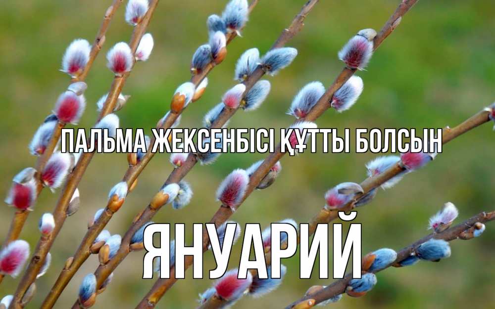 Күн сайын ашық хат с именем, Януарий Пальма жексенбісі құтты болсын верба Онлайн тегін жүктеп алу тілектері бар керемет карта 