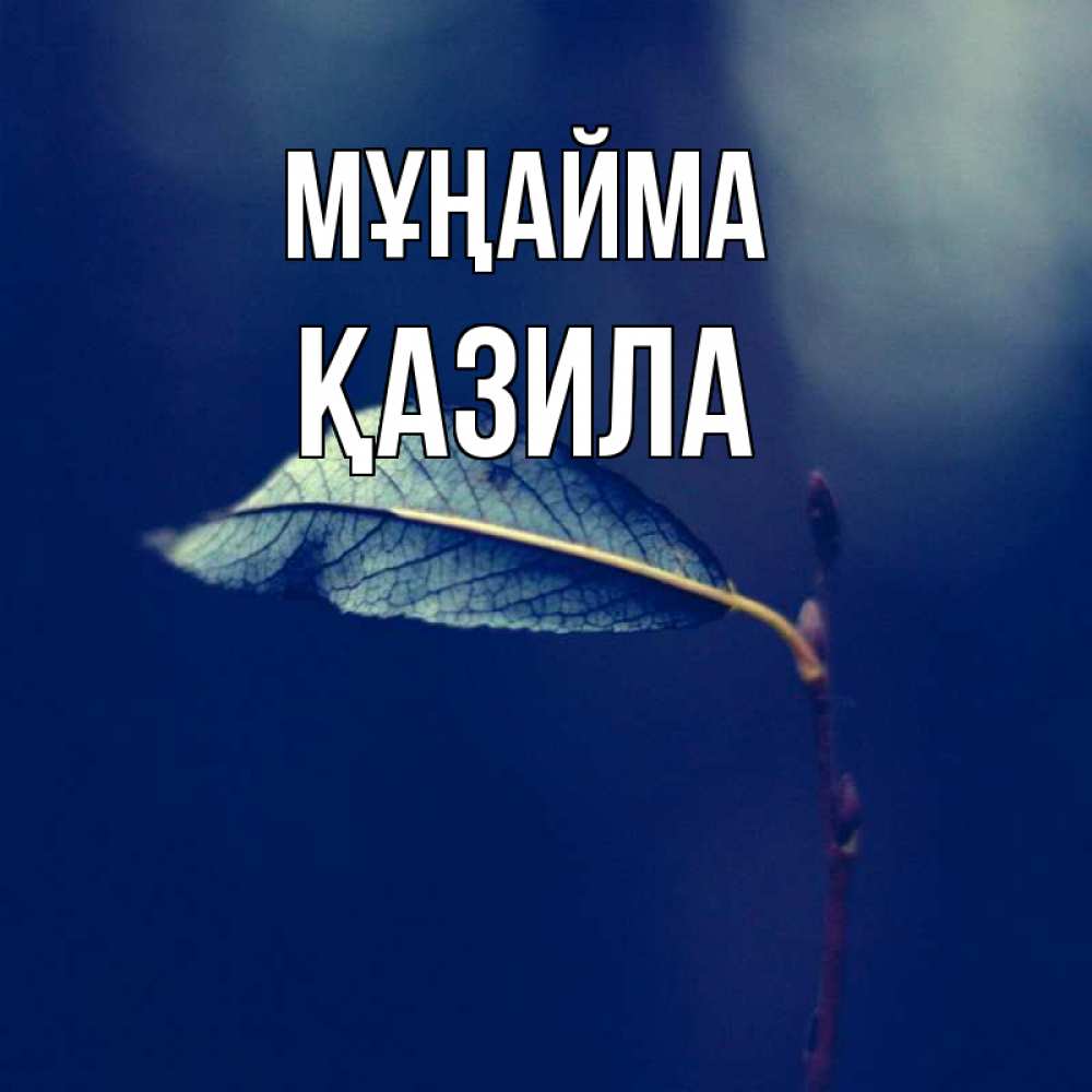 Күн сайын ашық хат с именем, ҚАЗИЛА Мұңайма растение Онлайн тегін жүктеп алу тілектері бар керемет карта 