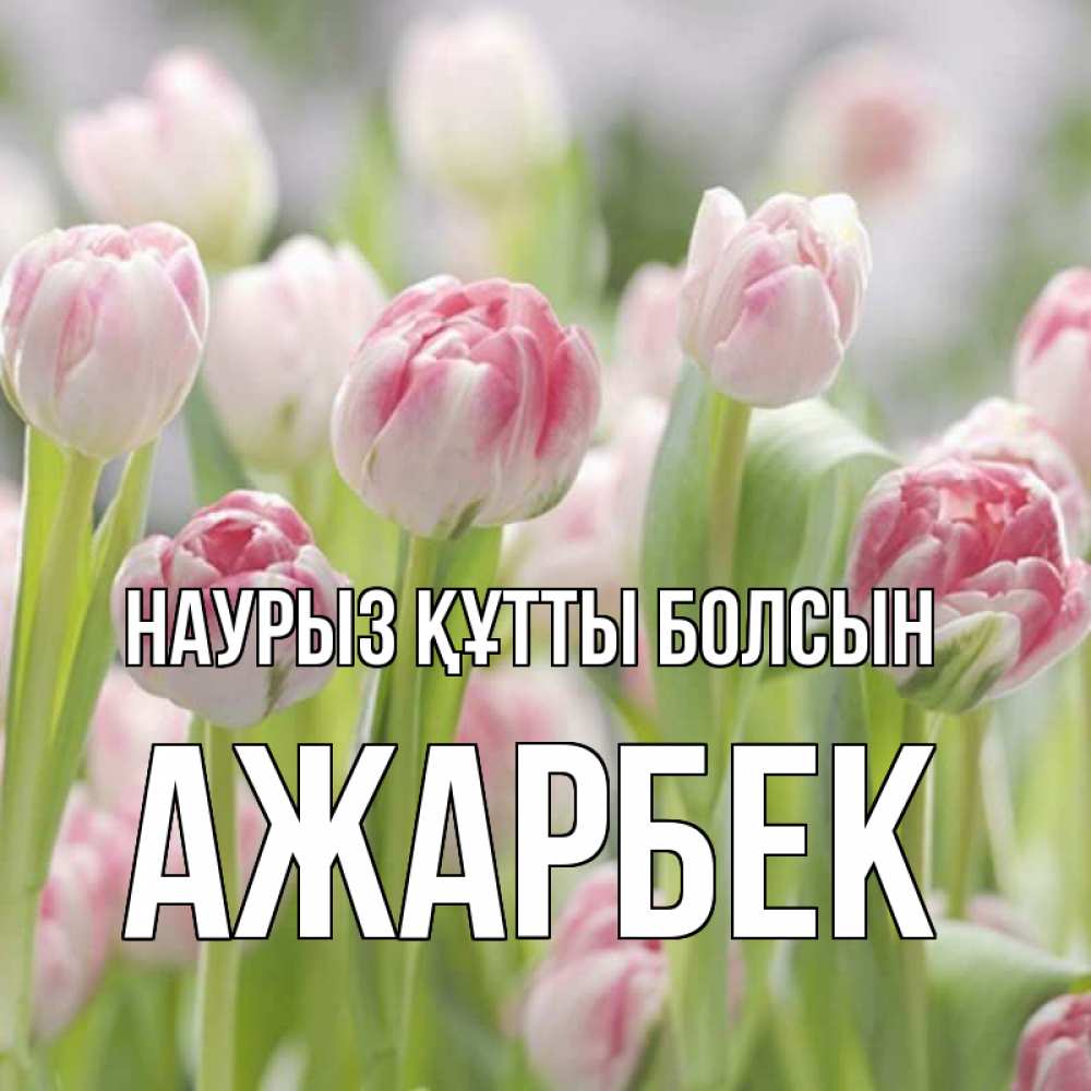 Күн сайын ашық хат с именем, Ажарбек Наурыз құтты болсын цветы Онлайн тегін жүктеп алу тілектері бар керемет карта 