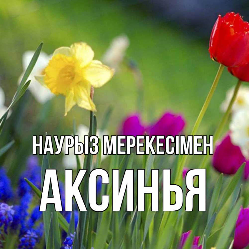 Күн сайын ашық хат с именем, Аксинья Наурыз мерекесімен праздник весны наурыз 3 Онлайн тегін жүктеп алу тілектері бар керемет карта 