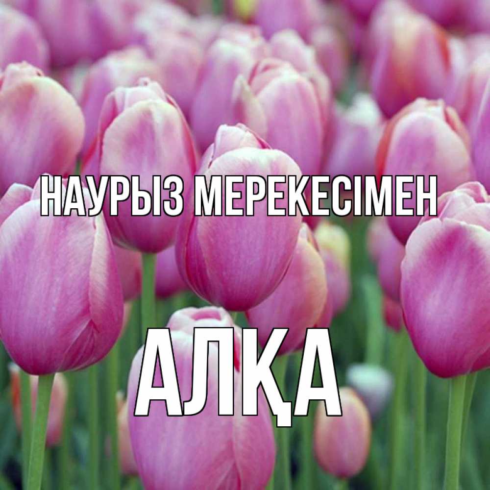 Күн сайын ашық хат с именем, Алқа Наурыз мерекесімен праздник весны наурыз 69 Онлайн тегін жүктеп алу тілектері бар керемет карта 
