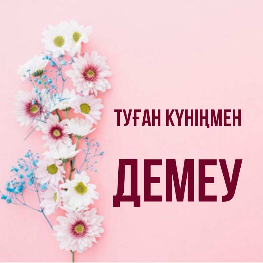 Күн сайын ашық хат с именем, Демеу Туған күніңмен Родная моя с днем рождения тебя картинка с цветами белыми и голубыми Онлайн тегін жүктеп алу тілектері бар керемет карта 