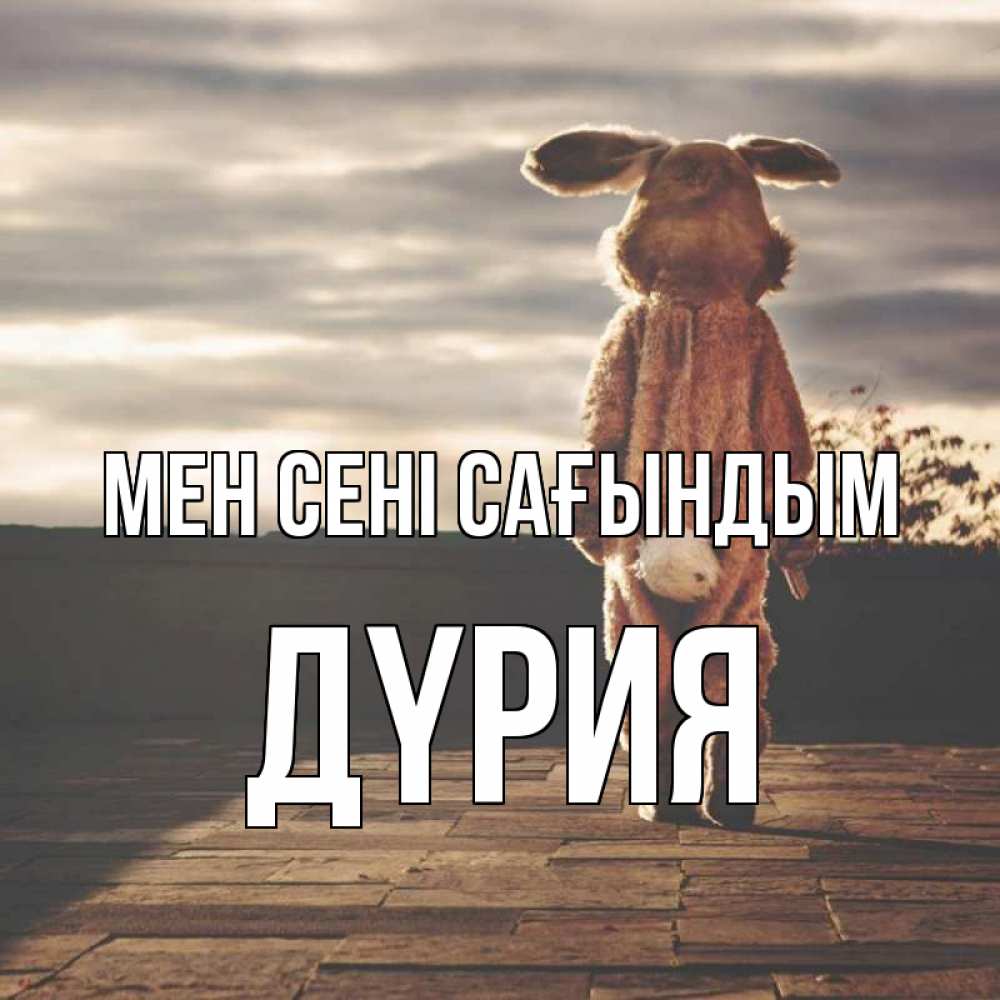 Күн сайын ашық хат с именем, ДҮРИЯ Мен сені сағындым даже в костюме зайца Онлайн тегін жүктеп алу тілектері бар керемет карта 