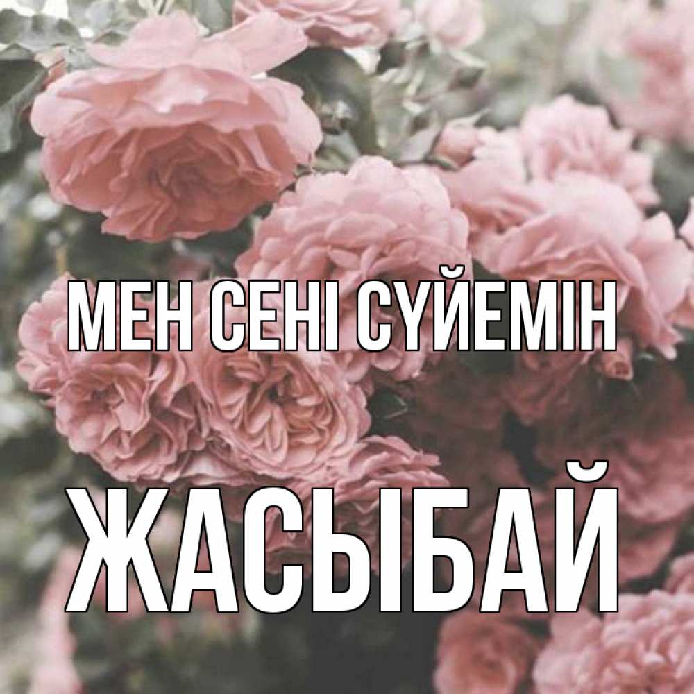 Күн сайын ашық хат с именем, Жасыбай Мен сені сүйемін розы 3 Онлайн тегін жүктеп алу тілектері бар керемет карта 