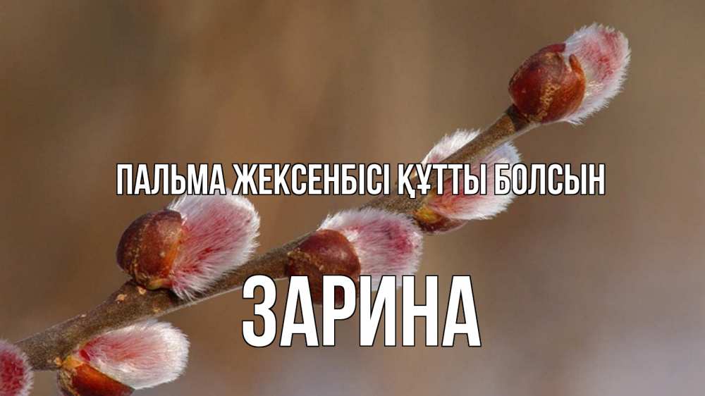 Күн сайын ашық хат с именем, ЗАРИНА Пальма жексенбісі құтты болсын верба Онлайн тегін жүктеп алу тілектері бар керемет карта 