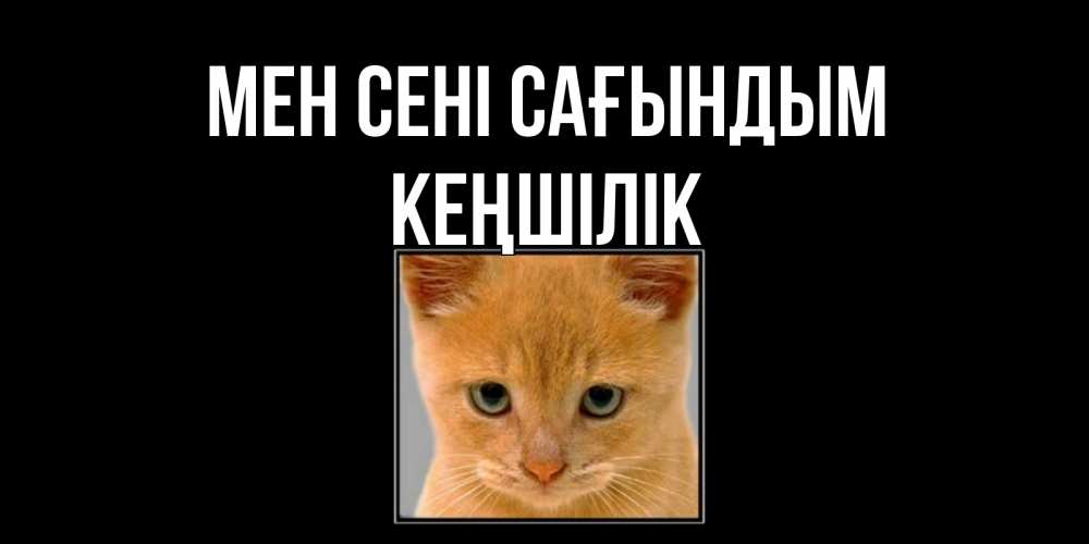 Күн сайын ашық хат с именем, Кеңшілік Мен сені сағындым открытки рыжий котенок скучает по тебе Онлайн тегін жүктеп алу тілектері бар керемет карта 