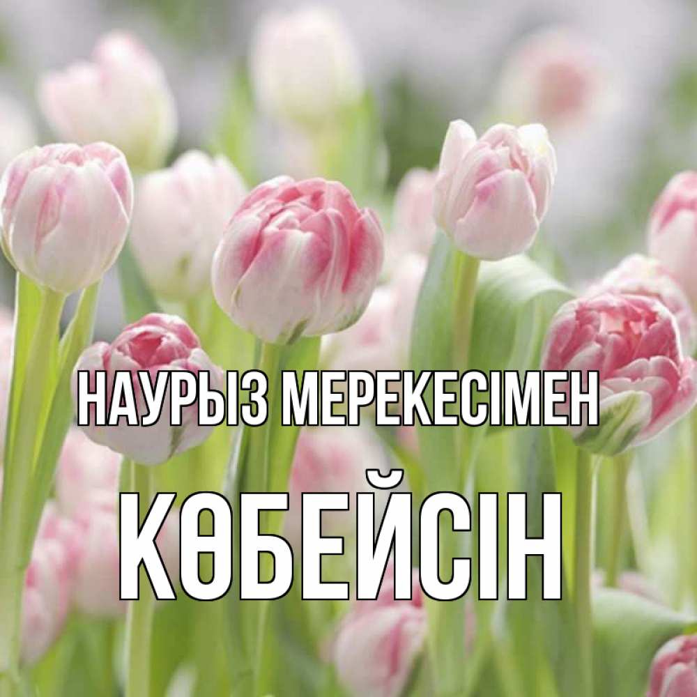 Күн сайын ашық хат с именем, Көбейсін Наурыз мерекесімен цветы Онлайн тегін жүктеп алу тілектері бар керемет карта 