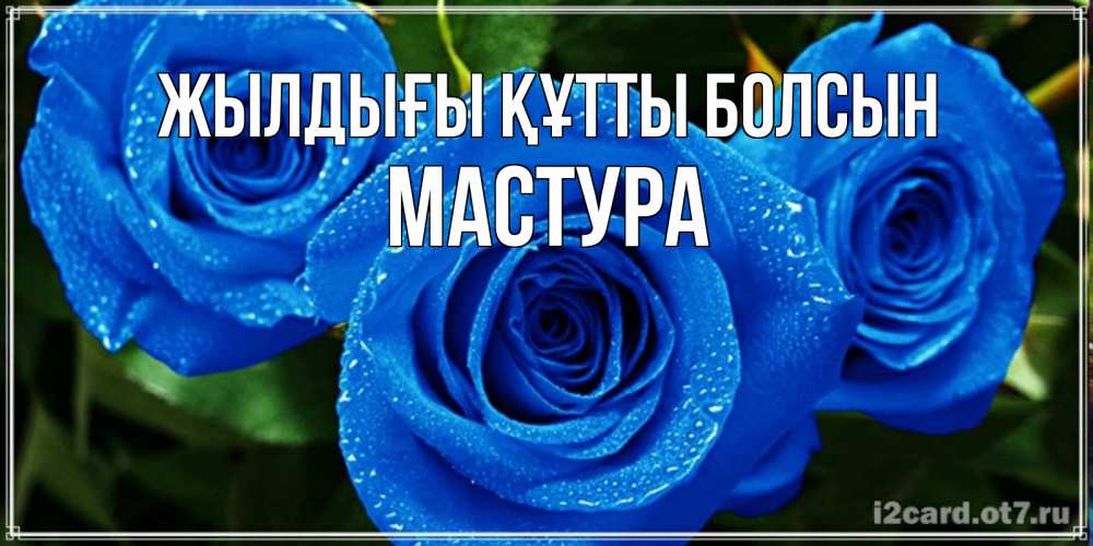 Күн сайын ашық хат с именем, МАСТУРА Жылдығы құтты болсын розы с синим цветом Онлайн тегін жүктеп алу тілектері бар керемет карта 