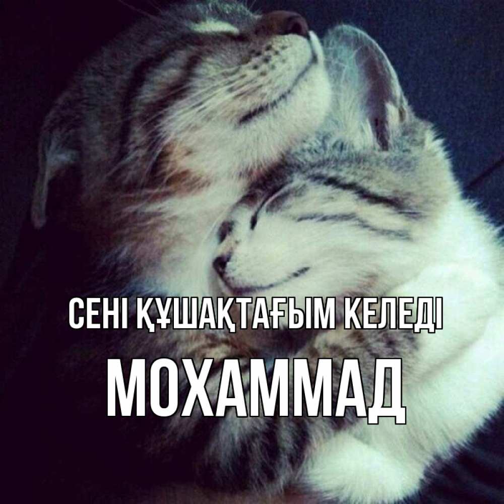 Күн сайын ашық хат с именем, Мохаммад сені құшақтағым келеді полосатики Онлайн тегін жүктеп алу тілектері бар керемет карта 