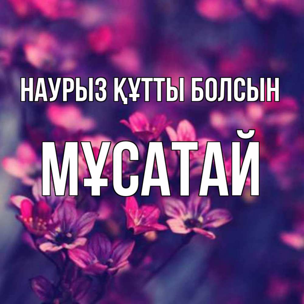 Күн сайын ашық хат с именем, Мұсатай Наурыз құтты болсын небольшие цветы 1 Онлайн тегін жүктеп алу тілектері бар керемет карта 