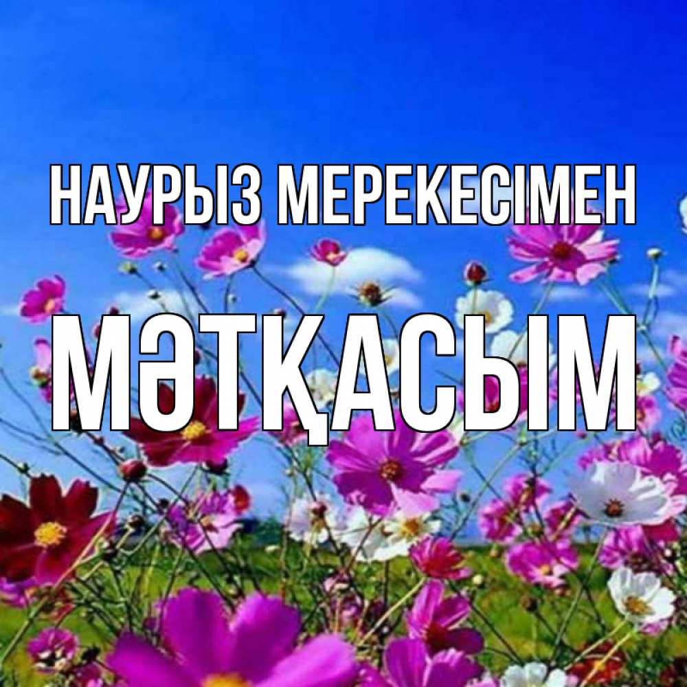 Күн сайын ашық хат с именем, МӘТҚАСЫМ Наурыз мерекесімен цветы Онлайн тегін жүктеп алу тілектері бар керемет карта 