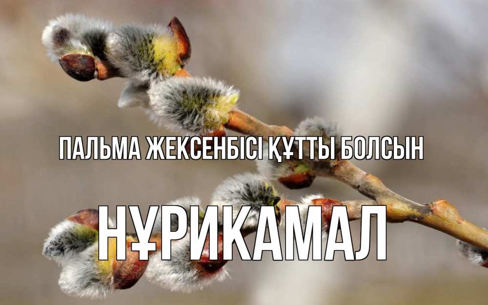 Күн сайын ашық хат с именем, НҰРИКАМАЛ Пальма жексенбісі құтты болсын Верба Онлайн тегін жүктеп алу тілектері бар керемет карта 
