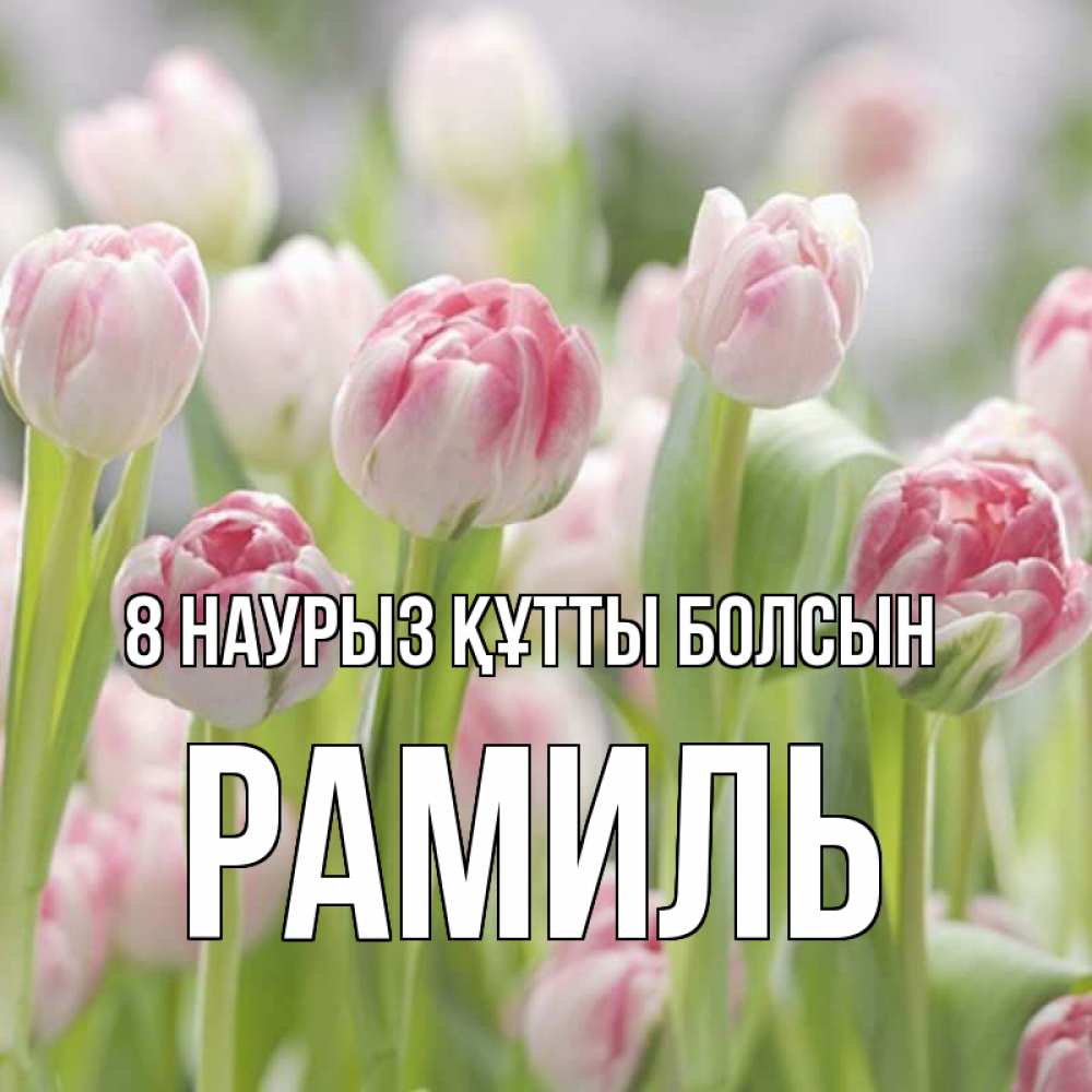 Күн сайын ашық хат с именем, Рамиль 8 наурыз құтты болсын цветы Онлайн тегін жүктеп алу тілектері бар керемет карта 
