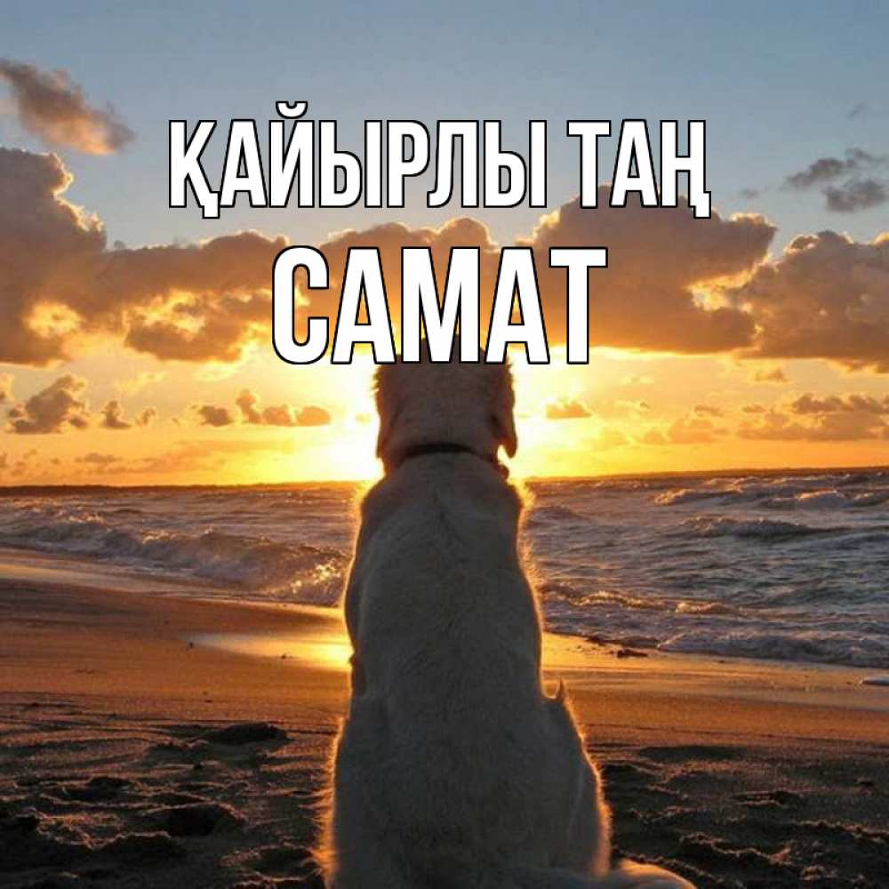 Күн сайын ашық хат с именем, САМАТ Қайырлы таң восход солнца Онлайн тегін жүктеп алу тілектері бар керемет карта 