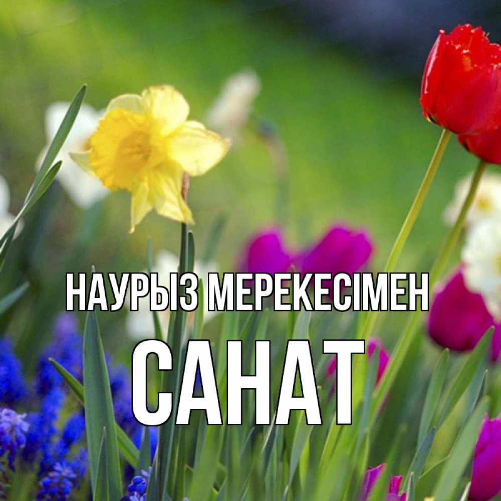 Күн сайын ашық хат с именем, САНАТ Наурыз мерекесімен праздник весны наурыз 3 Онлайн тегін жүктеп алу тілектері бар керемет карта 