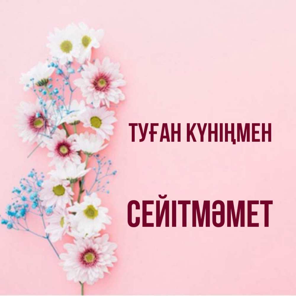 Күн сайын ашық хат с именем, СЕЙІТМӘМЕТ Туған күніңмен Родная моя с днем рождения тебя картинка с цветами белыми и голубыми Онлайн тегін жүктеп алу тілектері бар керемет карта 