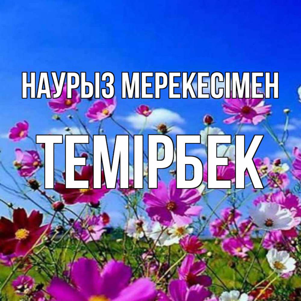Күн сайын ашық хат с именем, ТЕМІРБЕК Наурыз мерекесімен цветы Онлайн тегін жүктеп алу тілектері бар керемет карта 