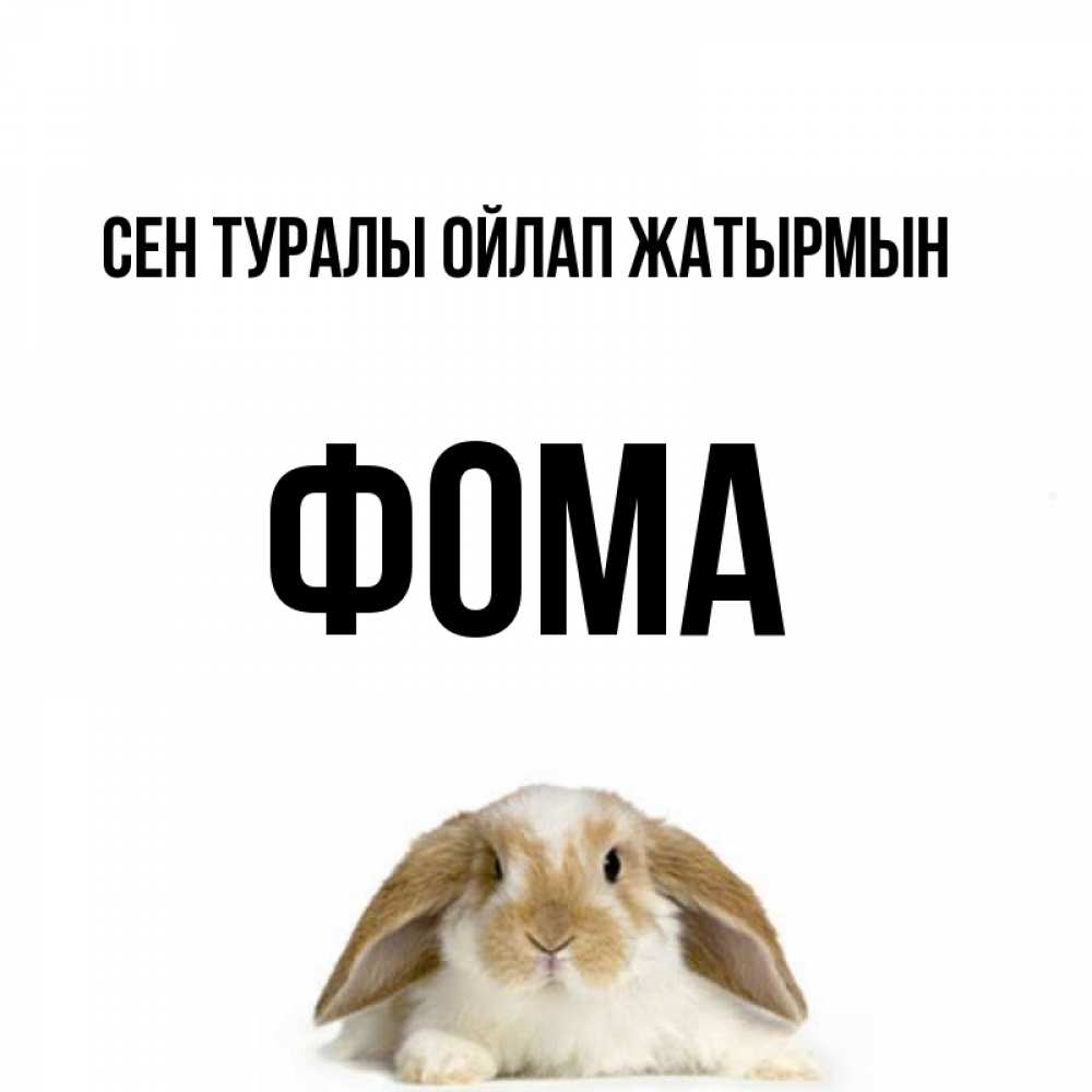 Күн сайын ашық хат с именем, Фома Сен туралы ойлап жатырмын подписать своими руками онлайн Онлайн тегін жүктеп алу тілектері бар керемет карта 