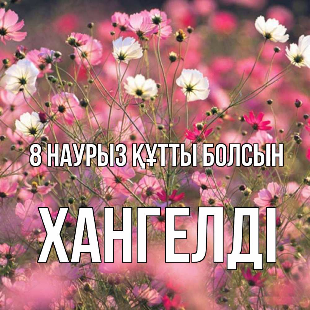 Күн сайын ашық хат с именем, ХАНГЕЛДІ 8 наурыз құтты болсын красиво 1 Онлайн тегін жүктеп алу тілектері бар керемет карта 
