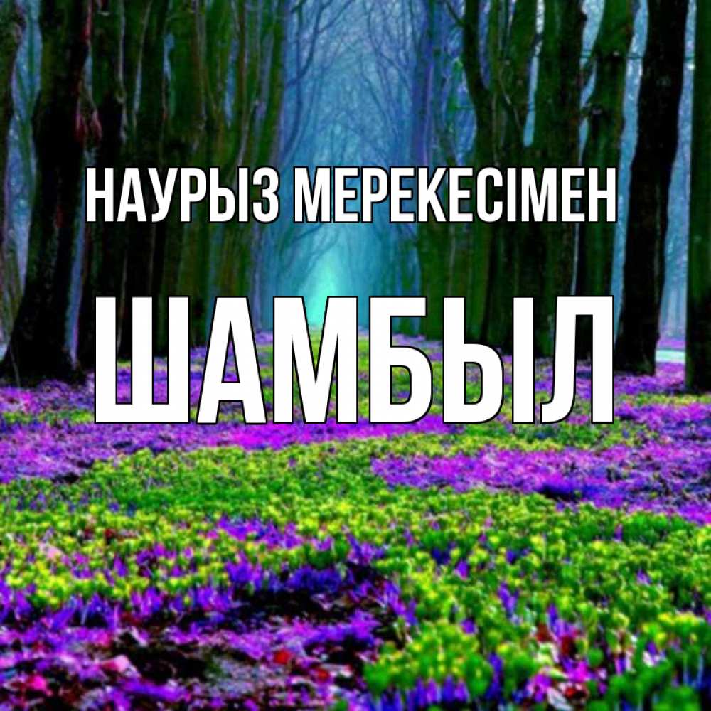 Күн сайын ашық хат с именем, ШАМБЫЛ Наурыз мерекесімен фиолетовые цветы в лесу 1 Онлайн тегін жүктеп алу тілектері бар керемет карта 