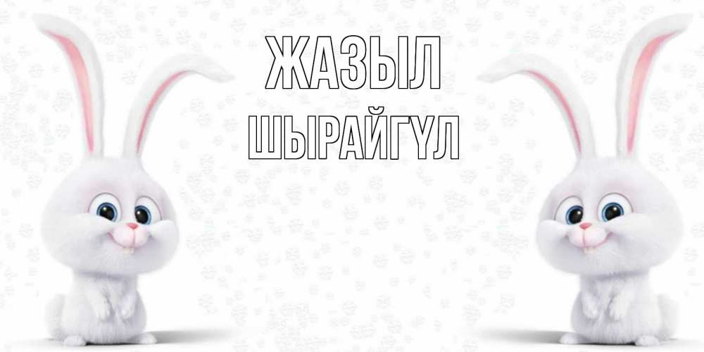 Күн сайын ашық хат с именем, ШЫРАЙГҮЛ Жазыл не болей с зайцем Онлайн тегін жүктеп алу тілектері бар керемет карта 