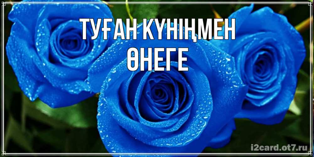 Күн сайын ашық хат с именем, ӨНЕГЕ Туған күніңмен розы с синим цветом Онлайн тегін жүктеп алу тілектері бар керемет карта 