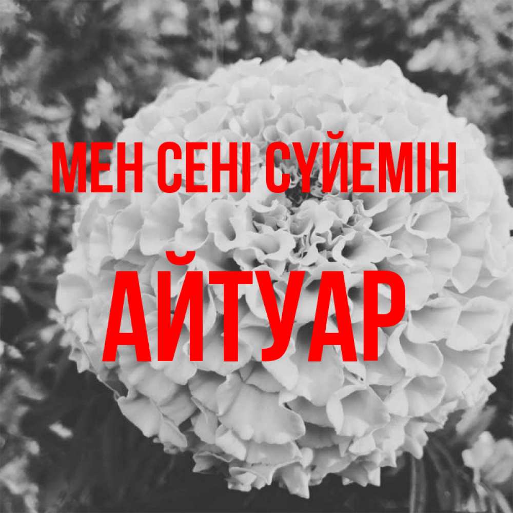 Күн сайын ашық хат с именем, Айтуар Мен сені сүйемін подпись Онлайн тегін жүктеп алу тілектері бар керемет карта 