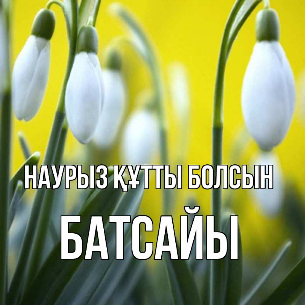 Күн сайын ашық хат с именем, Батсайы Наурыз құтты болсын весенние цветы Онлайн тегін жүктеп алу тілектері бар керемет карта 